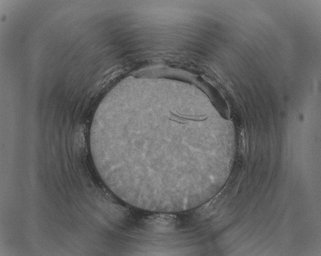 X0000087350128200705181136