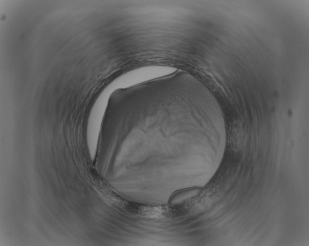 X0000087350131200705181136