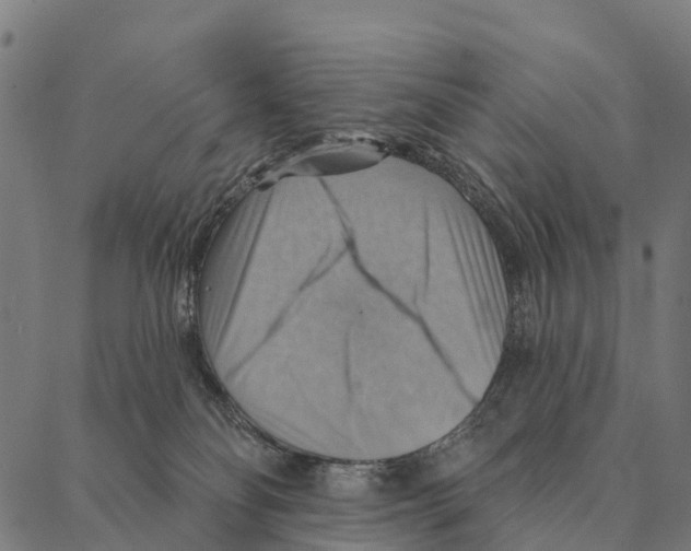 X0000087350134200705181136