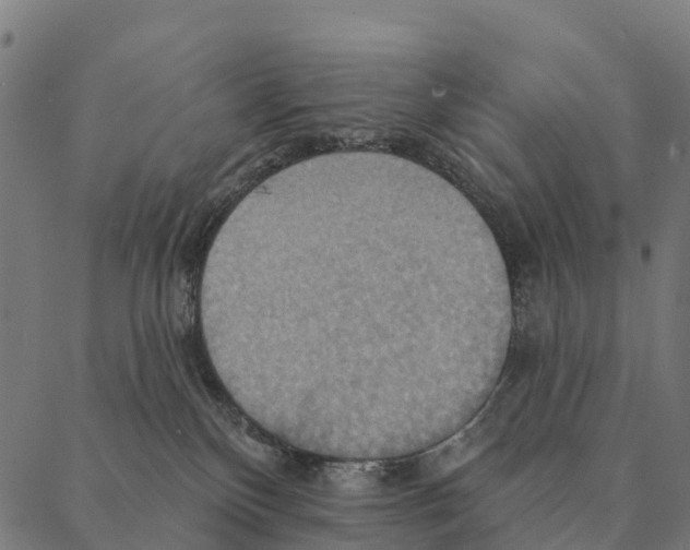 X0000087350136200705181136