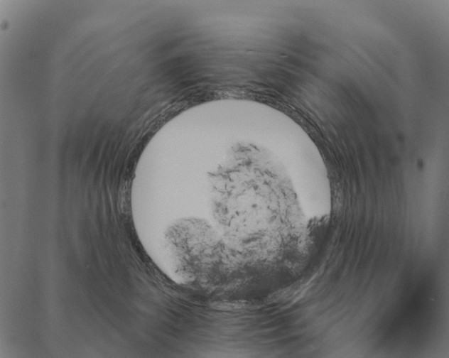 X0000087350139200705181136