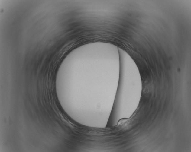 X0000087350140200705181136