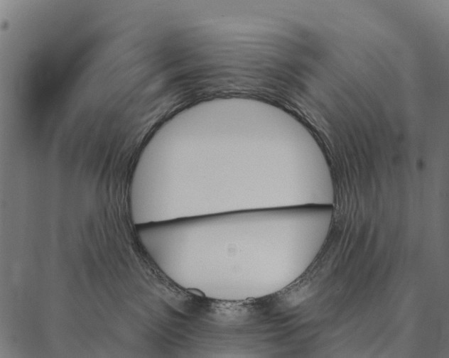 X0000087350141200705181136