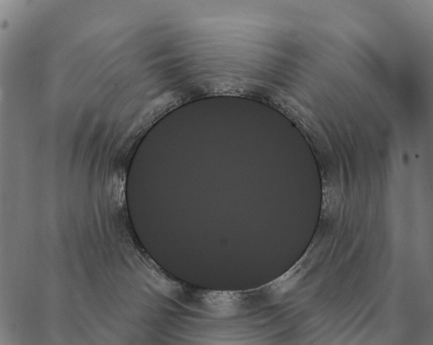 X0000087350142200705181136