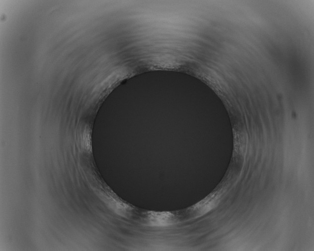 X0000087350143200705181136