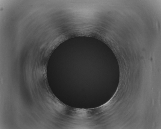 X0000087350144200705181136