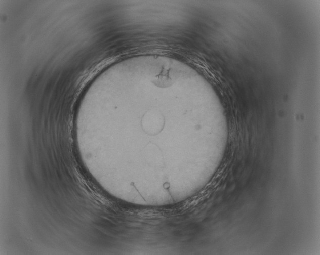 X0000087350146200705181135