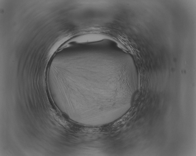 X0000087350147200705181135