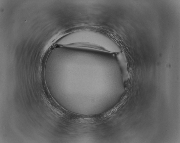 X0000087350150200705181135