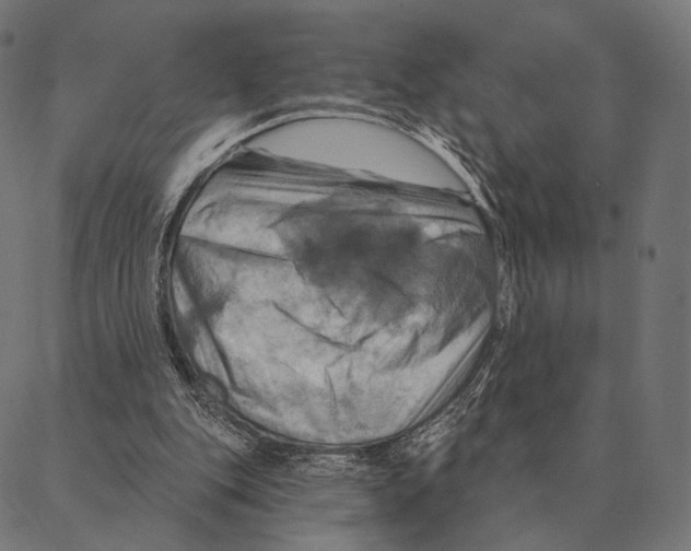 X0000087350151200705181135