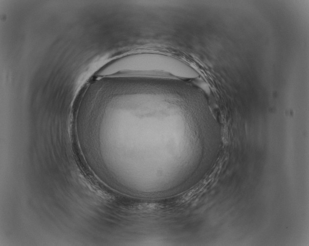 X0000087350152200705181135