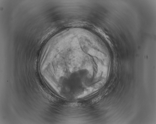 X0000087350153200705181135