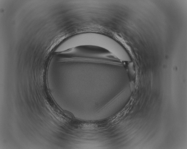 X0000087350154200705181135