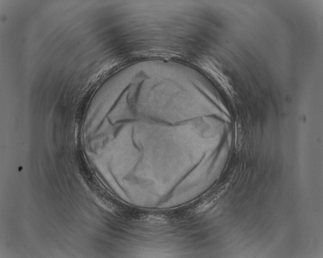 X0000087350157200705181135