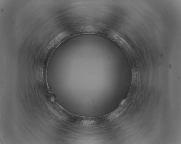 X0000087350158200705181135