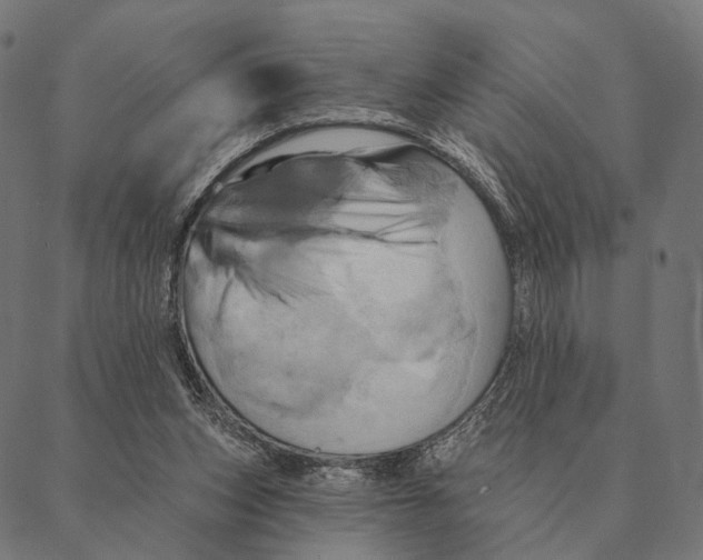 X0000087350159200705181135