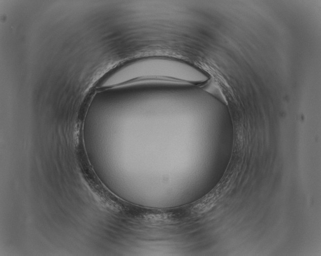 X0000087350160200705181135