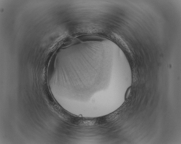 X0000087350163200705181135