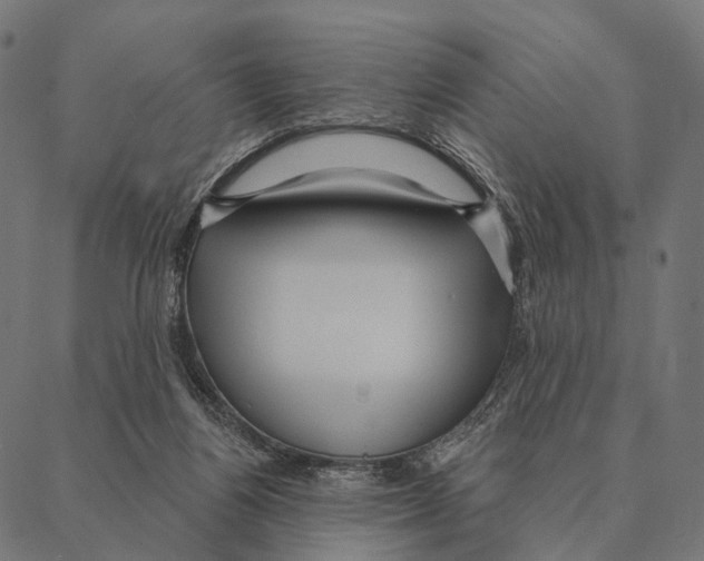 X0000087350164200705181135