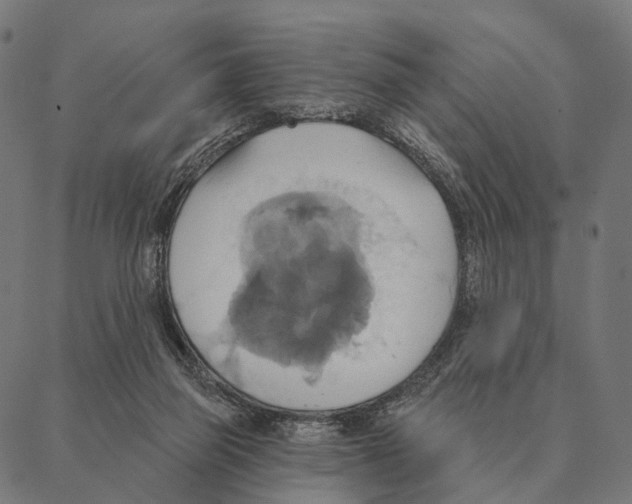 X0000087350165200705181135