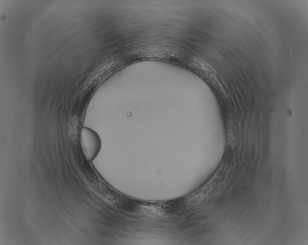 X0000087350167200705181135