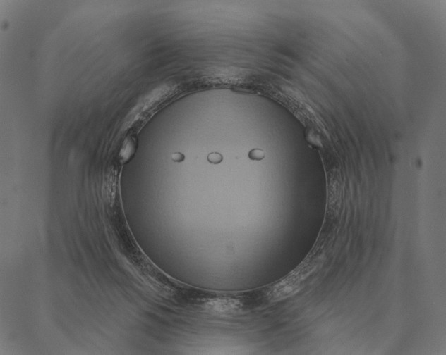 X0000087350168200705181135