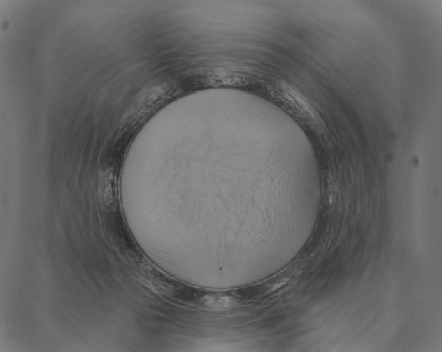 X0000087350169200705181135