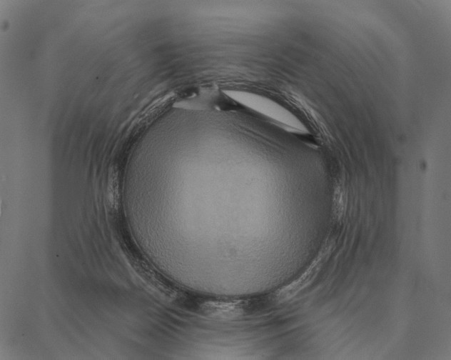 X0000087350170200705181135