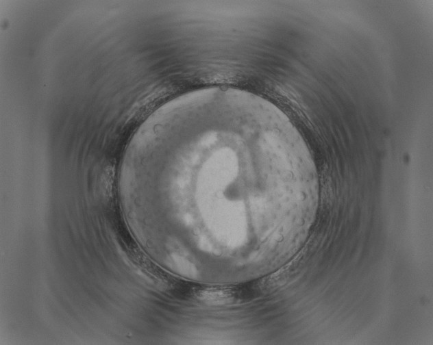 X0000087350171200705181135