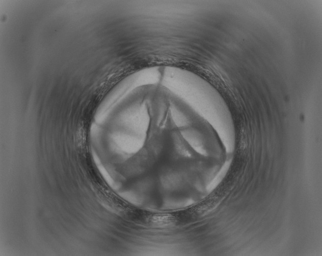 X0000087350173200705181135