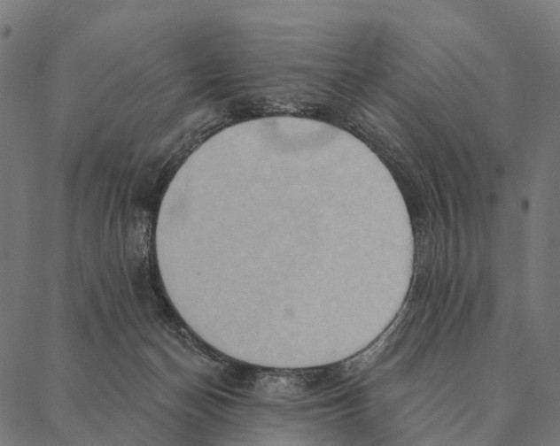 X0000087350174200705181135