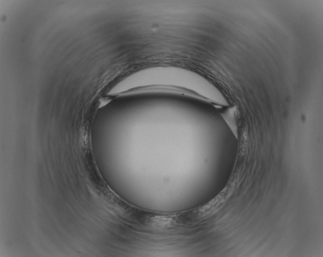 X0000087350176200705181135