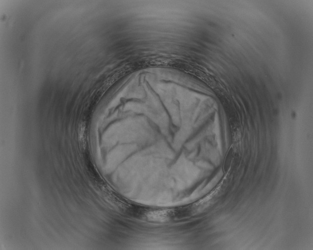 X0000087350178200705181135