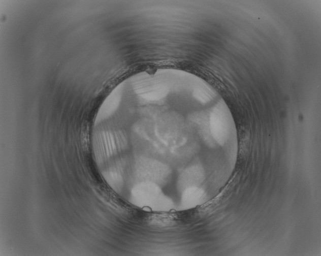 X0000087350179200705181135