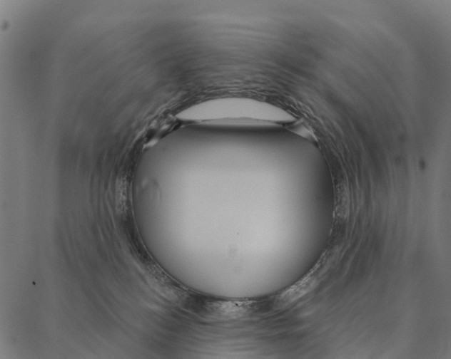 X0000087350184200705181136