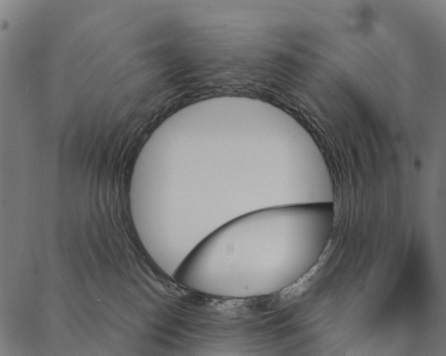 X0000087350186200705181136