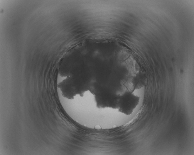 X0000087350187200705181136