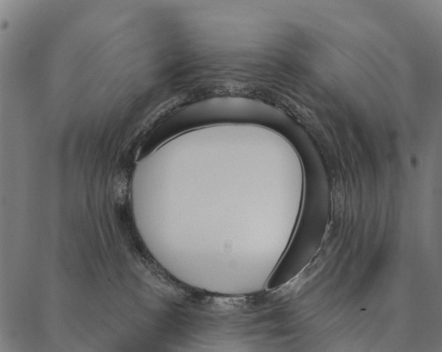 X0000087350188200705181136