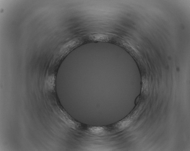 X0000087350189200705181136