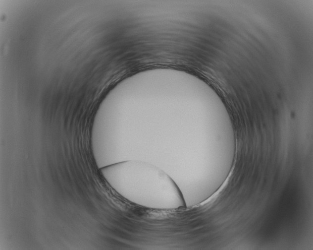 X0000087350190200705181136