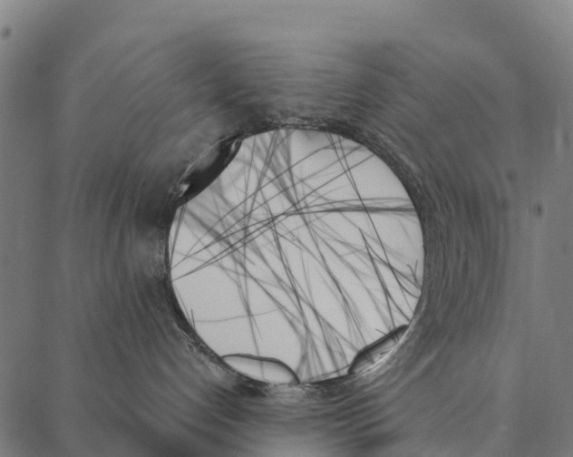 X0000087350192200705181136