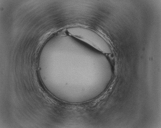 X0000087350193200705181135