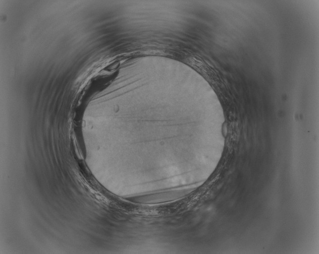 X0000087350194200705181135