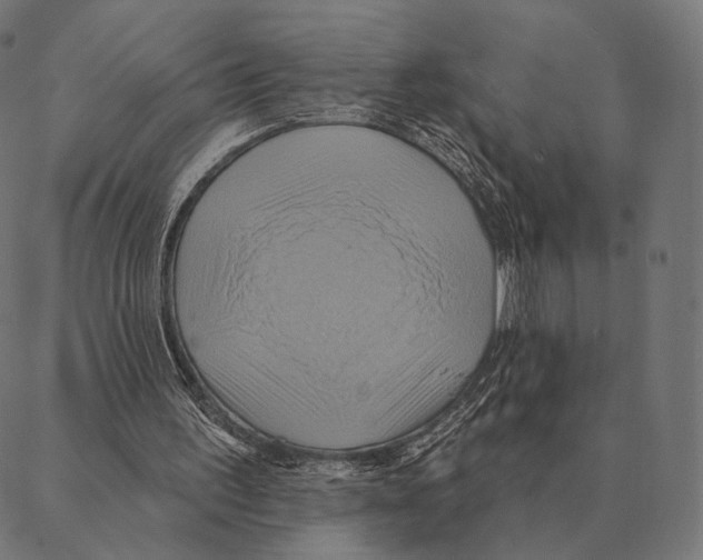 X0000087350195200705181135