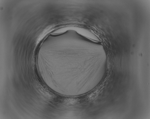 X0000087350198200705181135