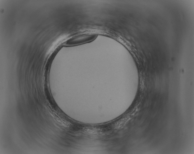 X0000087350199200705181135