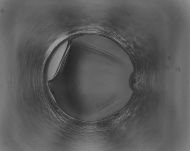 X0000087350200200705181135