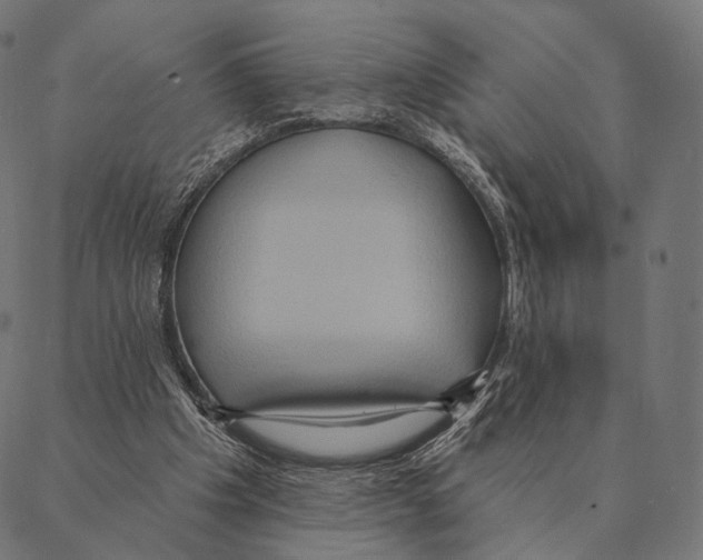 X0000087350201200705181135