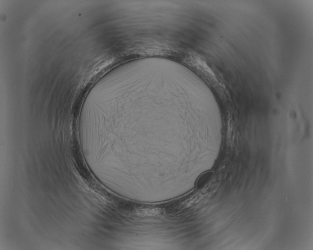 X0000087350202200705181135