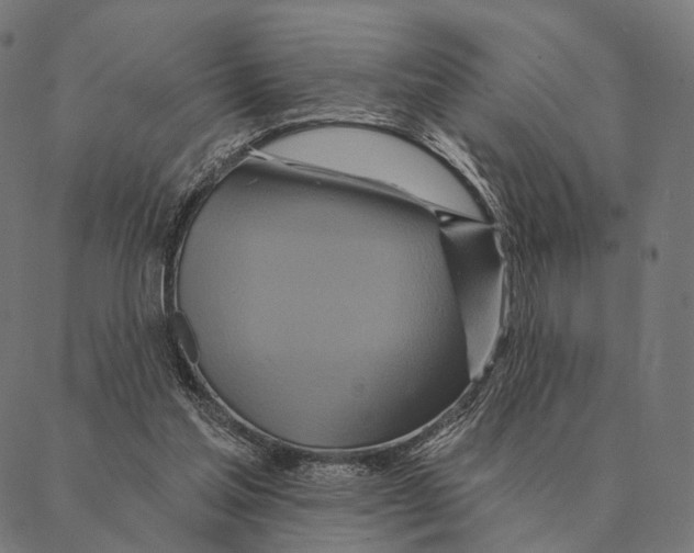 X0000087350205200705181135